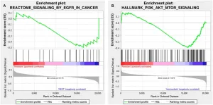 <i>Oncotarget</i>: Combination of copanlisib with cetuximab improves tumor response